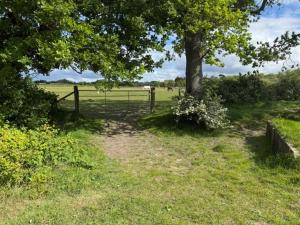 Hurst View Glamping