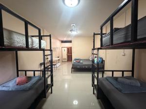 Khaosok city hostel
