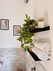NEREIDI-The Coastal Suite img15