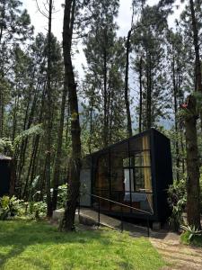 Omah kayu bromo