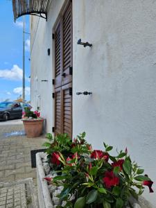Vista Mare Canneto Lipari Isole Eolie Con Parcheggio