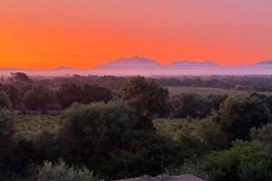 SON SERRA DE DALT by Sealand Villas