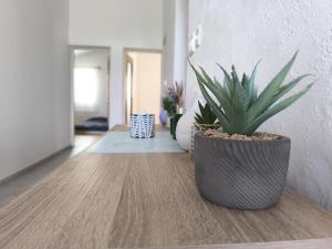 Large apartment for 8 people