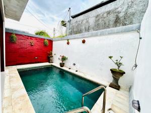 Dolphin Tour Private Villa Packet At Seririt