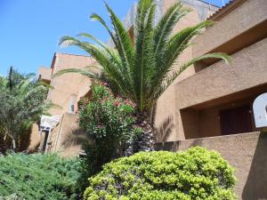 RESIDENCE Le Nereidi img67