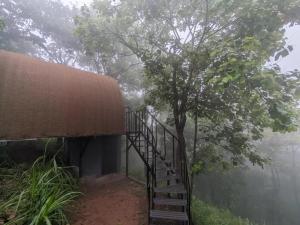 Spirit of the Wild By Nexgo Spaces