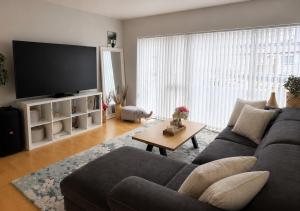 Scandinavian Home Apartment
