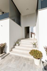 Apartments Luma Diklo