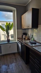 Stadtnah an der Förde 65 1