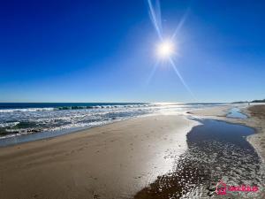 Sun & Sea