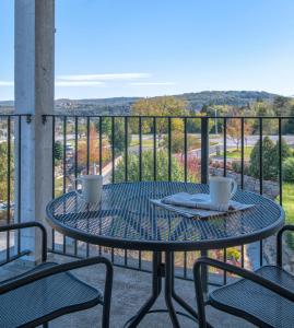 Mountain Vista Resort Studio Apartment