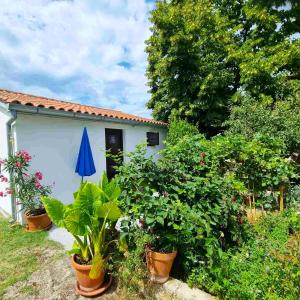 GARDEN - Two Bedroom Apartment