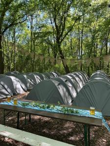 Munich Oktoberfest Accommodation Party Camping Experience