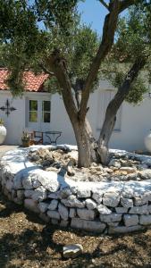 Heledoni House