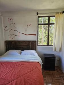 Apu Ecolodge