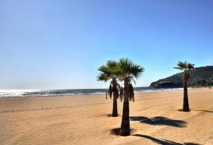 Apartamento Oropesa Playa