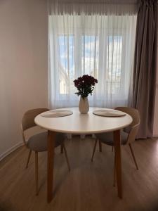 NEW Luxury Apartment in Old Town