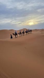 moha camp