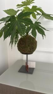 The Right Place 4U - Casa Truman Collection - Savelli Boutique Apartment
