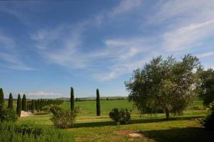 Comfy country home in Asciano