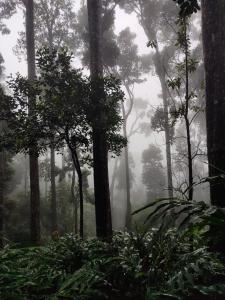 HostelExp, Munnar - A Bungalow Farm Experience