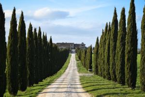 Comfy country home in Asciano