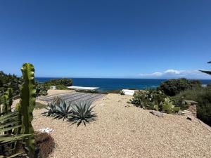Villa Le Palme img11
