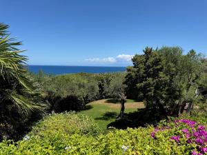 Villa Le Palme img16