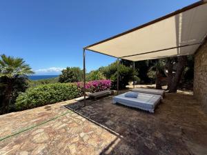 Villa Le Palme img26