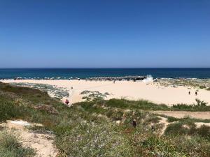 Appartamento Magnolie Mare img4