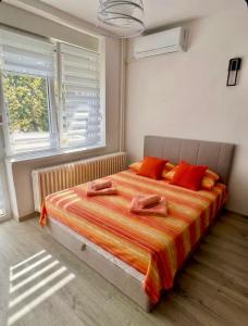 Sunny studio apartment in center of Belgrade