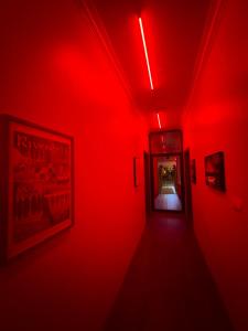 The Spicy Traveller Hotel, Hostel & Guesthouse