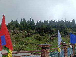Doma homestay