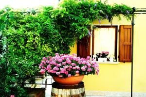 Agriturismo Cà Nuova