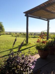 La Nativa, San Pedro