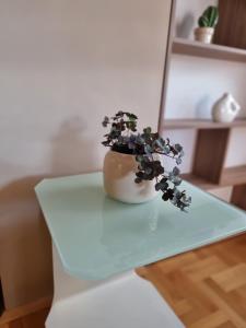 Luxury Park Apartment