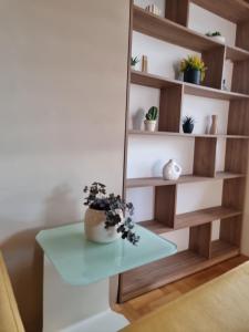 Luxury Park Apartment