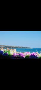 Bella Mare