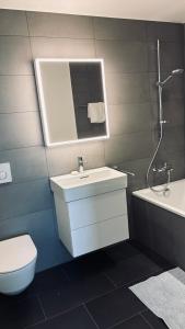 Beautiful Apartment near Rheinfalls