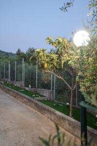 ELION - Ionian Olive House - Sea View