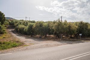 ELION - Ionian Olive House - Sea View