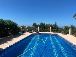 Suite majorelle