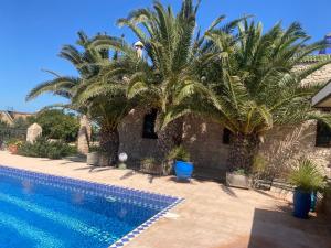 Suite majorelle