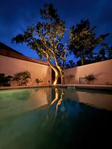 Peace Villa Bali - Luxury Tropical Monthly Rent