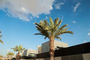 Avora chalet افورا شاليه