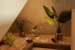 Avora chalet افورا شاليه