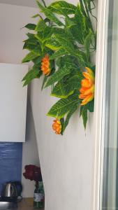 Casa Aurora Amalfi - only two steps to access