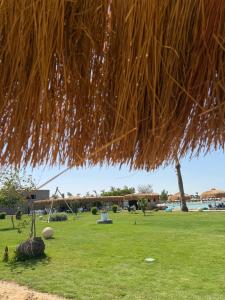 Elegant Apartment in Gravity Hotel Hurghada