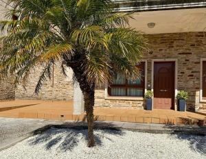 Apartmento Las Palmeras