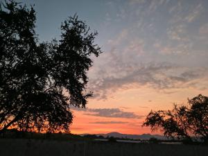 Cielo Naranja